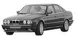 BMW E34 C1100 Fault Code